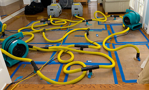 Professional Burst Pipe Water Damage technician working in Indianola, IA